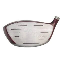 Integra Sooolong II Bi-Face Titanium Driver Head -Golf Club Shop d 8641